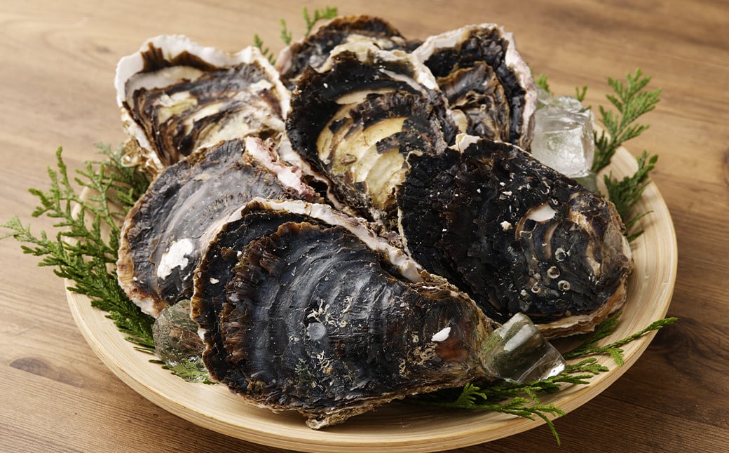 【指定日時必須】戸石町産 岩牡蠣 計約2kg（生食用／カキナイフ付き）