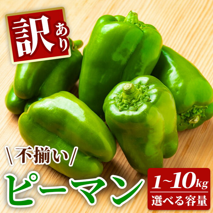 【ふるさと納税】先行予約 訳あり 不揃い 新鮮 ピーマン 選べる 1kg～10kg 野菜 朝採れ 農家直送 ふるさと納税 家庭用 炒め物 肉詰め 回鍋肉 ホイコーロー 栄養豊富 高評価 家計応援 6月〜10月発送 送料無料 岩手県 一関市