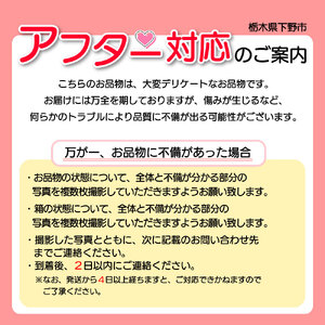 【ふるさと納税】【先行予約】紅白いちご300g×2｜いちご 栃木県 下野市