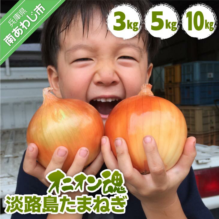 【ふるさと納税】【オニオン魂】淡路島たまねぎ【3kg・5kg・10kg】　◆配送6月上旬～翌年2月末