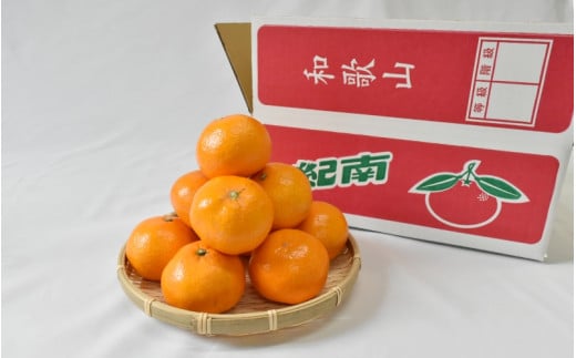 【2026年分先行予約】大坊の温州みかん 3kg（Lサイズ） ※2026年11月中旬～12月下旬頃に順次発送予定【期間限定・数量限定】 / みかん 蜜柑 3キロ お取り寄せ 産地直送 贈答品 ギフト 
