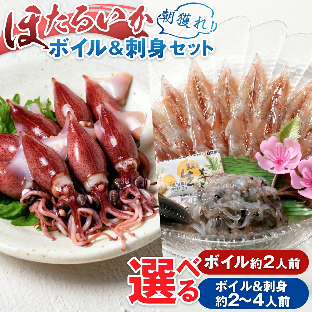 【ふるさと納税】 【先行予約】ボイルほたるいか 選べるボイルのみ /ボイル&刺身 容量2人前 /4人前 カネツル砂子商店 【27年3月中旬以降順次発送】【能登半島地震復興支援】/ 冷蔵 茹で ホタルイカ 富山 滑川市