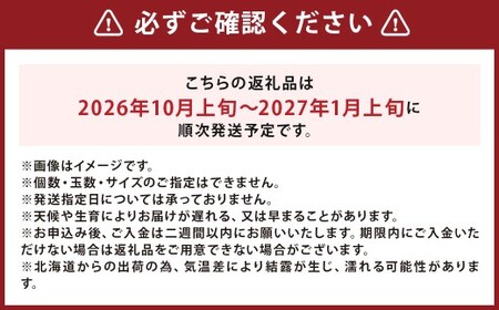 北海道産 じゃがいも キタアカリ 玉ねぎ セット M～2Lサイズ混載 各約5kg 合計約10kg 2箱 山田農場 ジャガイモ 芋 いも イモ 玉葱 タマネギ たまねぎ 国産 【2026年10月上旬-2