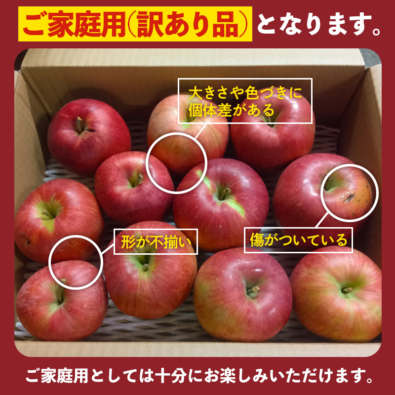 [家庭用]山形産 りんご(サンふじ) 3kg(11月1日～11月30日頃)【