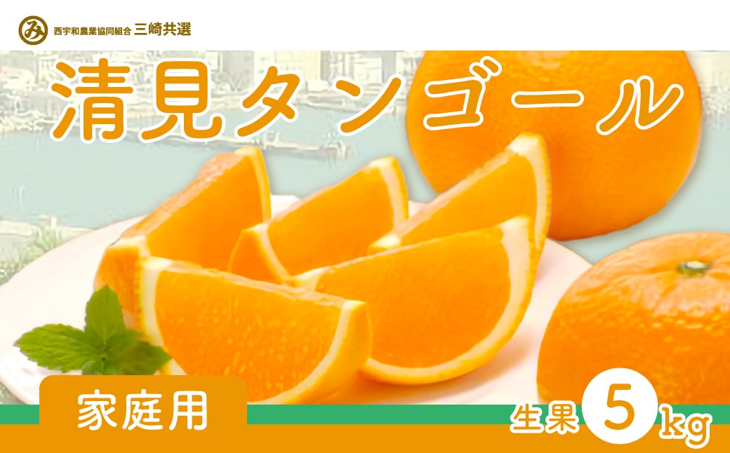 
            【先行予約】【家庭用】清見タンゴール 5kg ※離島への配送不可（2026年3月上旬～4月上旬頃に順次発送予定） 【 ふるさと納税 人気 おすすめ ランキング 柑橘 みかん ミカン 清見 清見タンゴール mikan 蜜柑 果物 生果 フルーツ 家庭用 愛媛県産 愛媛県 伊方町 送料無料 】 IKTBD017
          