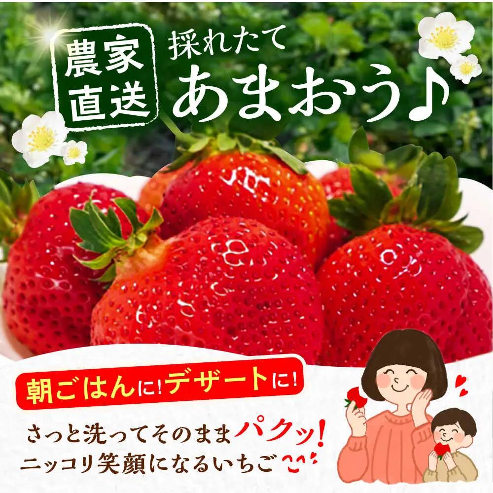 【先行予約】農家直送 あまおう 厳選デラックスG 270g以上×4P VAB020 果物 あまおう