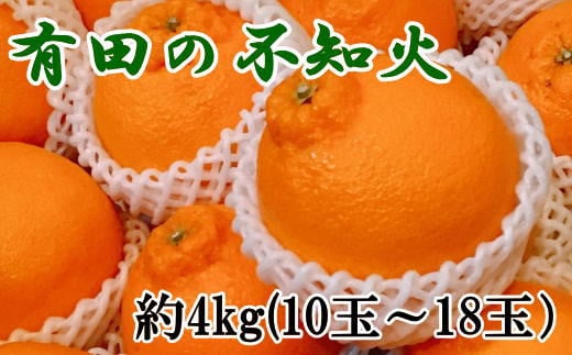 【濃厚】有田の不知火約4kg（10玉～18玉おまかせ） ※2025年2月上旬～2025年3月下旬頃に順次発送予定（日付指定不可）【tec862A】