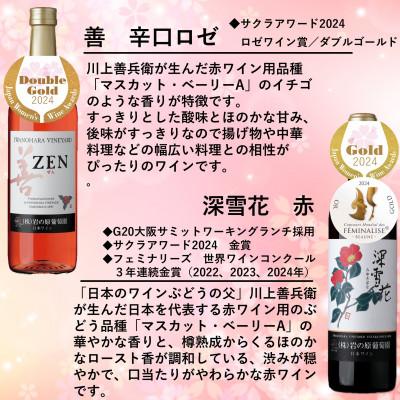 ふるさと納税 上越市 岩の原ワイン　コンクール受賞　善・深雪花飲み比べ6本セット |  | 02