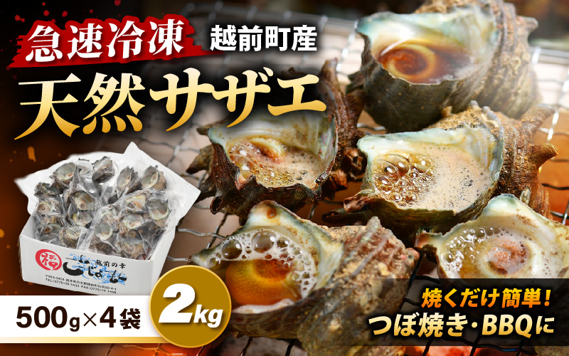 【先行予約】越前町産 天然 サザエ 2kg（500g×4袋）【2026年6月中旬より順次発送】【つぼ焼 BBQ 海鮮 バーべキュー 小分け おつまみ さざえ 福丸フーズ】 [e15-a066]