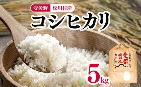【令和7年度産】コシヒカリ 5kg 松川村産 | ファームいちまる 米 白米 精米 コシヒカリ こしひかり お米 おこめ 長野県 松川村 信州