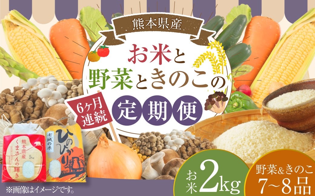 
            【6ヶ月連続定期便】 【令和7年度産】 熊本県（七城）産のお米と熊本県産の野菜ときのこ お米（2kg）・野菜＆きのこ（7～8品） 精米 単一原料米 ひのひかり くまさんの輝き ジャガイモ ニンジン シイタケ 【2026年1月上旬発送開始】
          