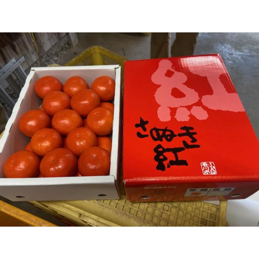 【ふるさと納税】【6月中旬頃～発送】温室栽培 小原紅早生みかん(小玉) 約2kg 化粧箱入り