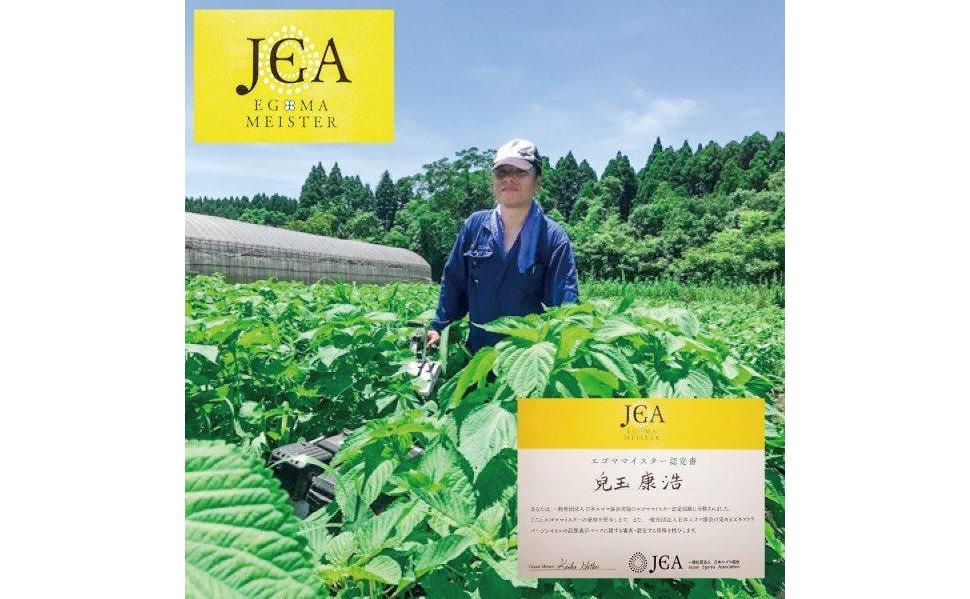 【毎日の美容と健康に】えごまギフトCセット＜1.1-4＞ 入金確認後30日前後で発送