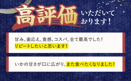 【6回定期便】極鮮ヤリイカ 約500g【海隆丸】[KAB179]/ 長崎 平戸 魚介類 イカ いか ヤリイカ 真空パック 小分け 贈物 贈答 プレゼント 定期便