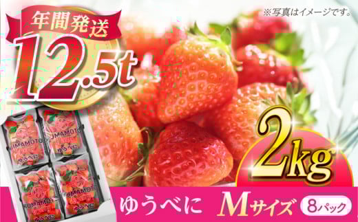 いちご Mサイズ ゆうべに 2kg（8pc）【熊本ベリー】  いちご イチゴ 苺 ゆうべに 大粒いちご  [ZER008]