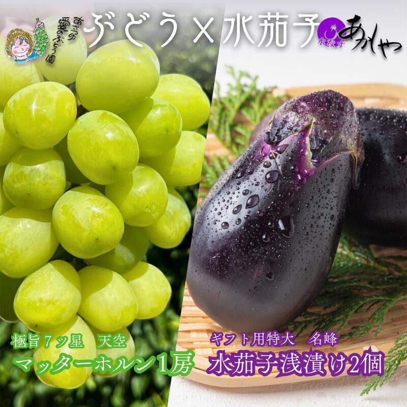 【ふるさと納税】極上「名峰」マッターホルン大粒大房ぶどうと 竹籠入り！極上「名泉」泉州水なすぬか漬け2個計1.5kg　お届け：2025年8月下旬～10月下旬まで