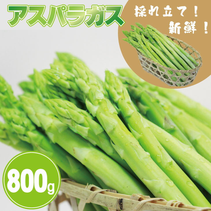 【ふるさと納税】アスパラガス800g　新鮮 採れたて 生産者直送 送料無料 野菜 セット 人気 ランキング 高評価 佐賀【A095-016】