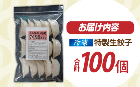 餃子 「新助」の餃子 ファミリーセット(100個入り) [ANHL003] 餃子