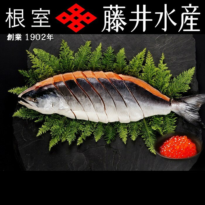 【ふるさと納税】[北海道根室産]時しらず鮭1.5kg×1P・いくら醤油漬け90g×1P F-42013