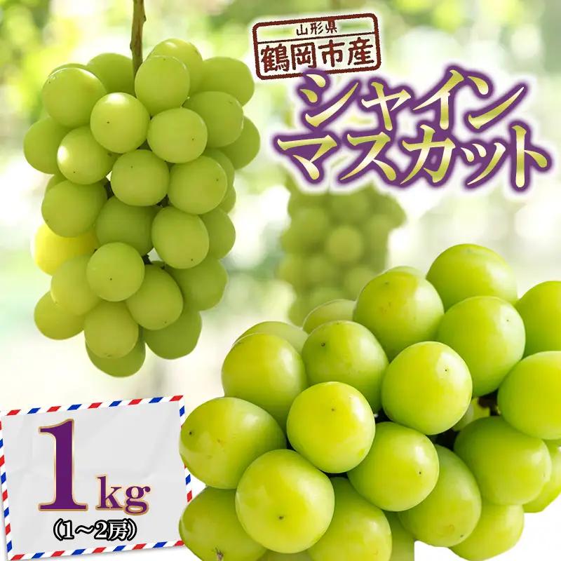 【令和8年産先行予約】 鶴岡市産ぶどう シャインマスカット 約1kg(1～2房) K-835    JA庄内たがわ　