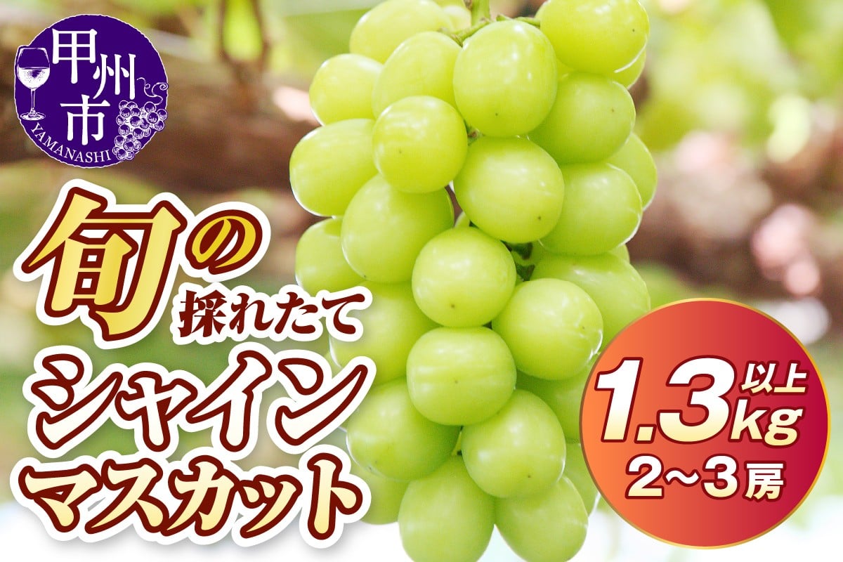 2023年先行予約 旬の採れたてシャインマスカット 1.2kg以上(2～3房)