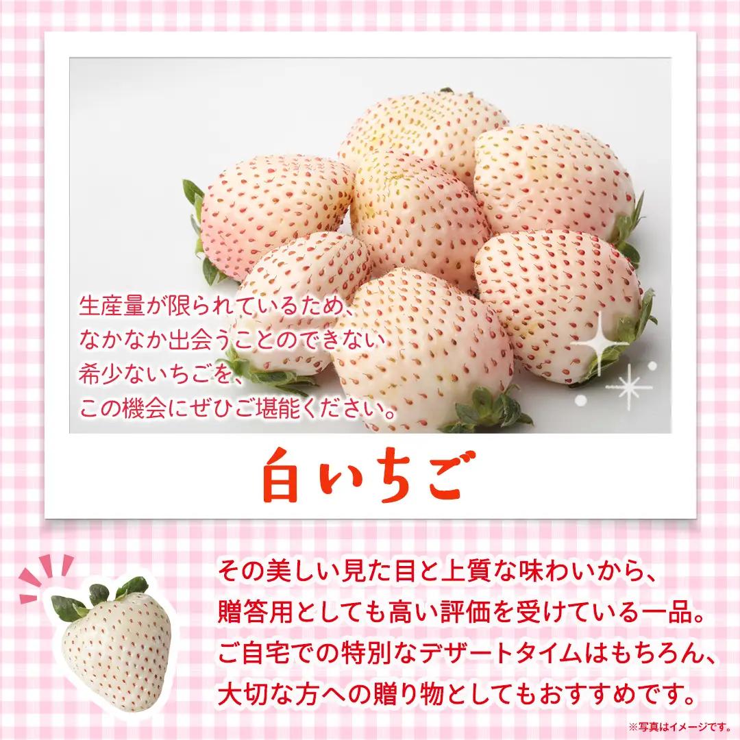 白いちご 約200g（15～18粒）×4パック【2027年1月から発送開始】（茨城県共通返礼品 [いちご]：城里町産）