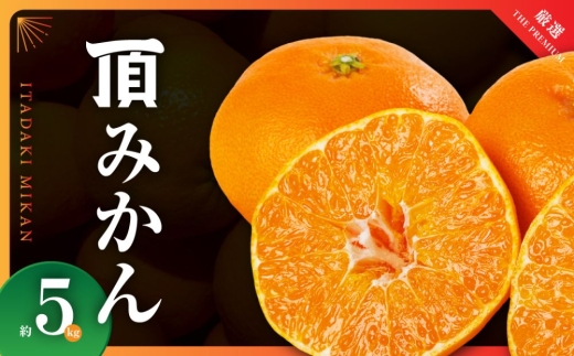 三代目がつくる高品質＜頂みかん＞5kg＜C31-16＞_ みかん 蜜柑 ミカン 愛媛みかん 愛媛 国産 箱 送料無料 農家直送 産地直送 柑橘 かんきつ 温州みかん 旬 フルーツ 果物 くだもの 【1042516】 YWTAC008
