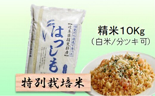 
										
										特別栽培米★精米10kg（白米/5分/7分ツキ可）【ハツシモ】 玄米は別に出品 白米
									