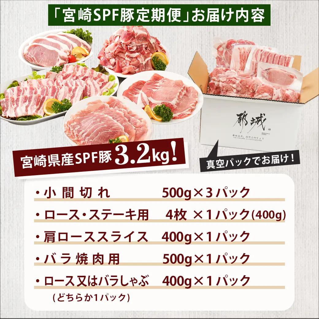≪3回連続お届け≫「宮崎SPF豚」日替わりバラエティセット定期便〔T48-3-K901〕_(都城市) 宮崎県産豚 小間切れ ロース 肩ローススライス バラ ステーキ 焼肉 しゃぶしゃぶ 真空