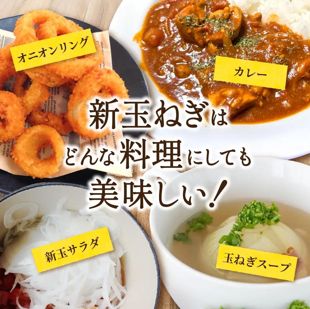 玉ねぎ 和歌山県産 新玉ねぎ 約10kg Lサイズ 約25個入り【kgr033】
