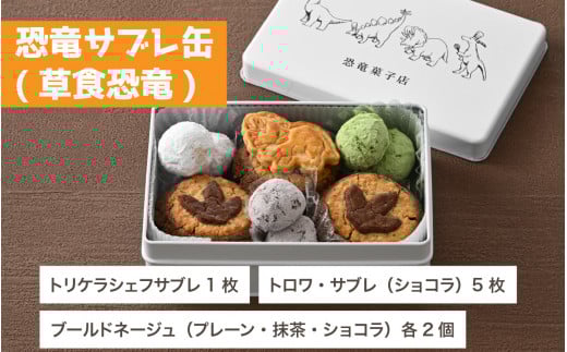 恐竜サブレ缶（大）【恐竜サブレ缶(草食恐竜) 】 [A-135006_02]