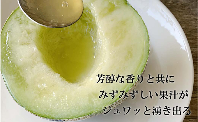 クラウンメロン【並（白等級）】中玉（1.3kg前後）2玉入り 定期便6ヶ月 人気 厳選 ギフト 贈り物 デザート グルメ  果物 袋井市 果物類 メロン青肉 フルーツ 6回 半年 