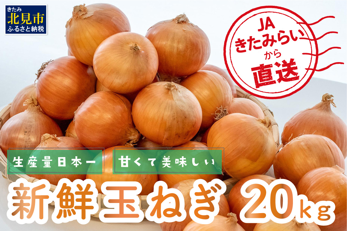 【予約：2026年10月中旬から順次発送】JAきたみらいから直送する甘くて美味しい新鮮玉ねぎ 20kg Lサイズ ( たまねぎ 野菜 北海道 玉葱 )【104-0008-2026】