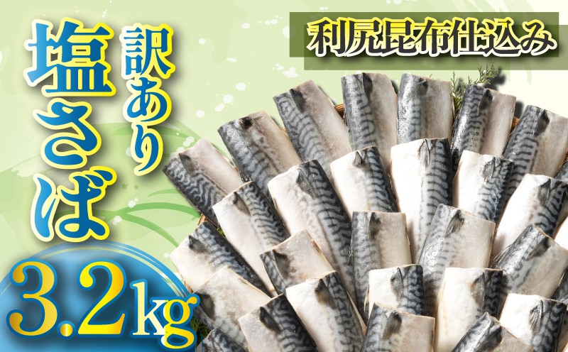 
                  訳あり 塩さば フィレ 約3.2kg 利尻昆布 さば サバ 海鮮 魚 大容量 フィーレ 冷凍 塩鯖 青魚 魚貝類 鯖 魚介 魚貝 人気 水産 おつまみ さけ おかず ご飯 惣菜 アレンジ パスタ 和食 洋食 弁当 冷凍 たっぷり 不揃い 規格外 傷 食品 冷凍 冷凍食品 グルメ 贈り物 贈物 ギフト 長期保存 ストック 小分け お取り寄せ ふるさと納税 ふるさと納税鯖 千葉県 銚子市 銚子東洋
                