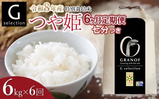 【令和8年産先行予約】【定期便6ヶ月】 特別栽培米 Gセレクション つや姫 七分つき 6kg (6kg×1袋)×6ヶ月 山形県鶴岡市産　株式会社グラノフ