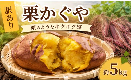 ※画像はイメージです。