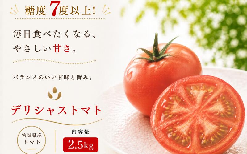 
                  【糖度7度以上！】デリシャストマト 2.5kg とまと 野菜【delf048】
                