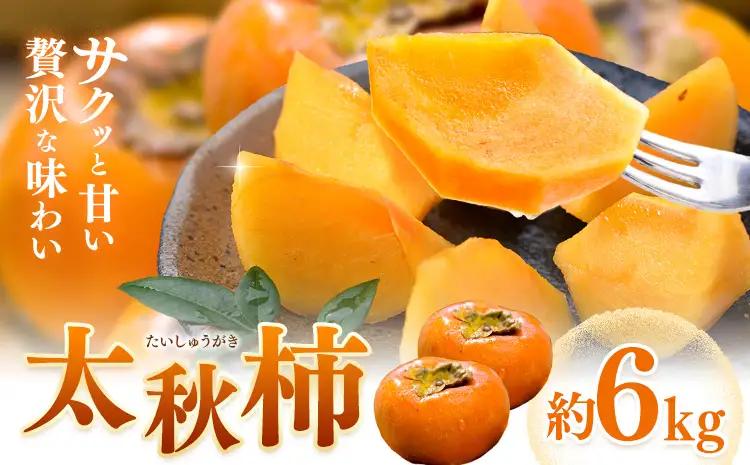 【先行予約】柿 太秋柿 たいしゅうがき 約6kg 日本フルーツ株式会社《2026年9月上旬-10月下旬頃出荷》熊本県 菊池市 秋の味覚 果物 くだもの フルーツ デザート