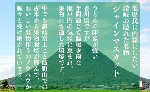 おひさまがきらめく瀬戸内育ち！シャインマスカット 約2kg 	