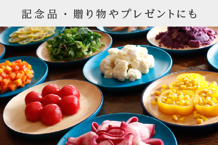 Kyutarou BLUE　両面丸皿　スタンダード