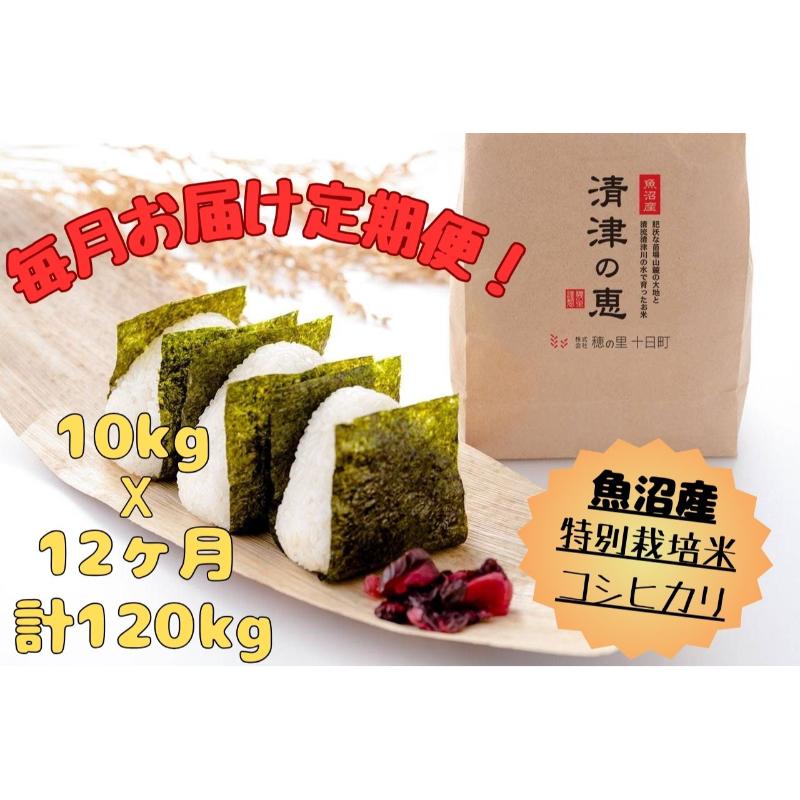 【ふるさと納税】【通年受付】魚沼産特別栽培米コシヒカリ［清津の恵］精米10kg（5kgx2袋）全12回 十日町市 十日町 米　お届け：2025年10月上旬以降、ご入金確認後順次配送予定。