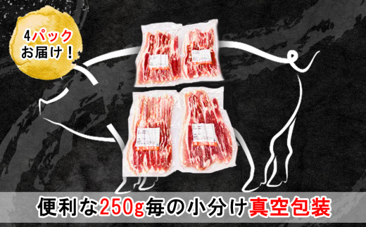 【 期間限定価格 】 国産豚肉 バラスライス 1kg  ( 250g × 4パック / 小分け 真空包装 ) 【 下妻工場直送 】【 豚肉 バラスライス パック 小分け 便利 国産 料理 ポーク ぶた