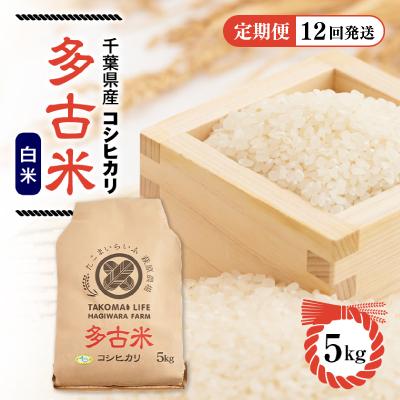 ふるさと納税 多古町 【毎月定期便】たこまいらいふ萩原農場の多古米コシヒカリ(精米5kg)全12回