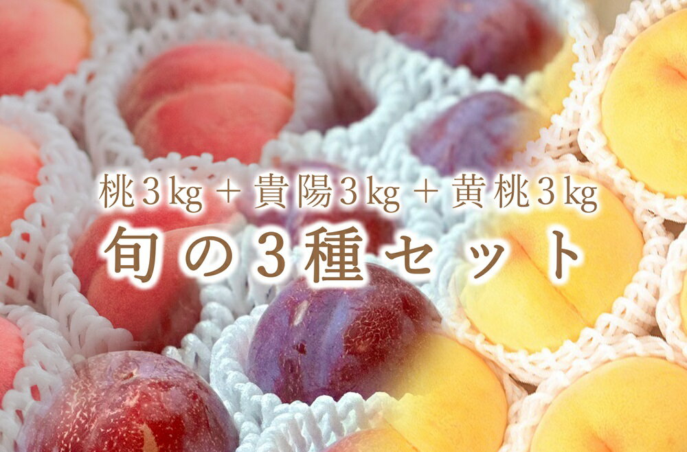 【ふるさと納税】 フルーツ 定期便 3回 すもも 桃 黄金桃 約3kg 大玉 貴陽 プラム セット 果物 くだもの 果実 2025年発送 甲州市産 白鳳系 白桃系 黄桃 産地直送 数量限定 期間限定 贈答 ギフト 家庭用 7月 8月 発送 自然農法 山梨 （BNC） 【I6-101】