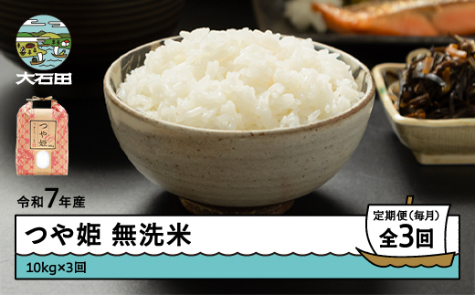 米 令和7年産 つや姫 無洗米 30kg 10kg×3回 毎月定期便 【6月下旬・7月下旬・8月下旬発送】  山形県産 東北 ap-tsmxa10x3-tm6to8s