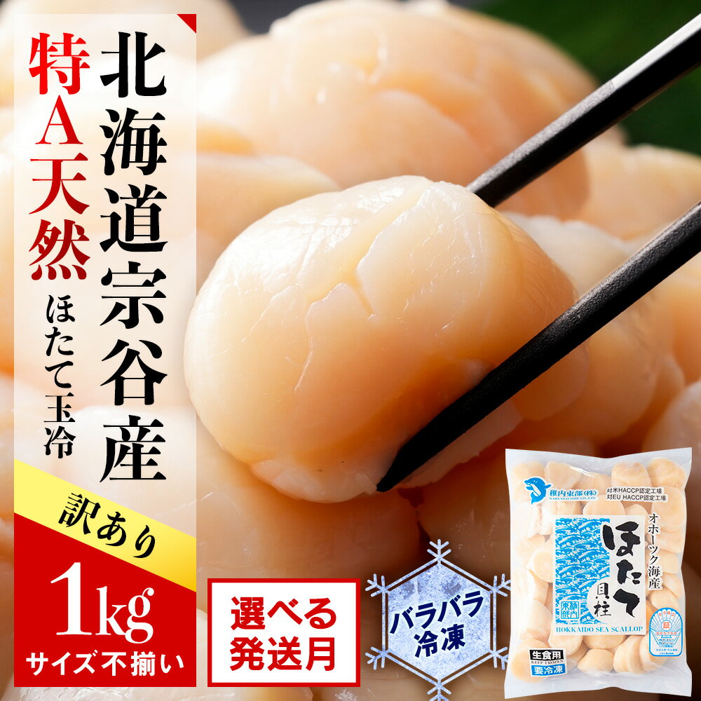 【ふるさと納税】【訳あり】宗谷産 天然生食用 ほたて貝柱 1kg (特A無選別) 選べる発送月ほたて ホタテ 帆立 貝柱 貝 刺身 生食 海鮮 海産物 北海道ふるさと納税 稚内 ふるさと納税 北海道 【配送不可地域：離島・沖縄県】