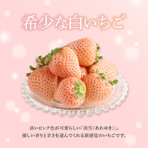 淡雪＆真紅の美鈴 ギフトセット ／ いちご 食べ比べ イチゴ【C029】
