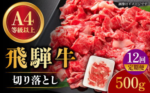 【 12回 定期便 】【 飛騨牛 】 切り落とし 500g × 12回 ( 計 6kg )  和牛 ブランド牛 国産 多治見市/肉の丸長  [TAZ014]