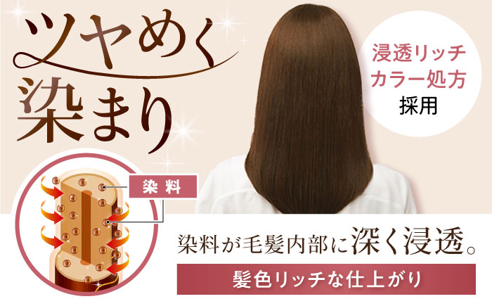 シエロ ヘアカラークリーム ダークブラウン 3個 / CIELO 白髪染め セルフカラー ヘアカラー / 瀬戸市 / ホーユー株式会社 [BBEL003] 6 ダークブラウン