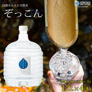 四国カルスト天然水ぞっこん (12L×2本)×2ケース 計4本 NZS0008